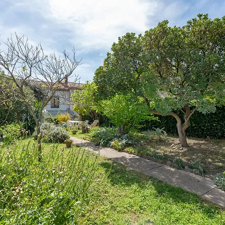 La Voute Каркассон